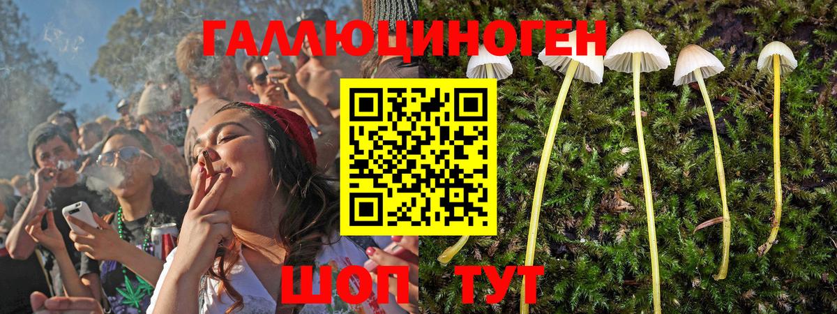 Псилоцибиновые грибы мухоморы  где продают   Псилоцибиновые грибы прущие грибы  Иваново  Вход с VPN 
